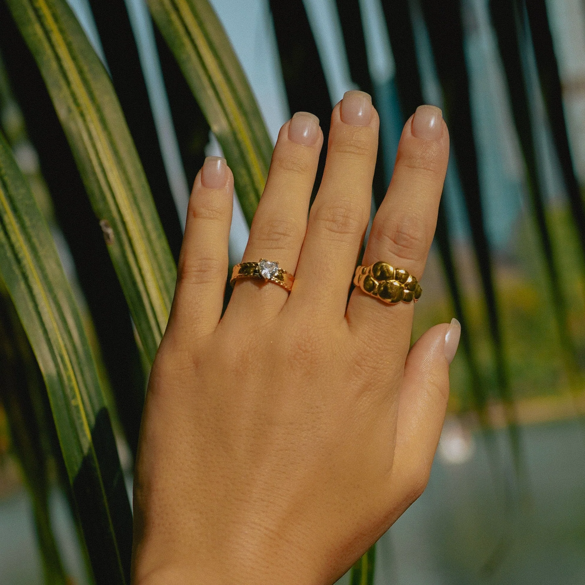 AMOR. - Image 2