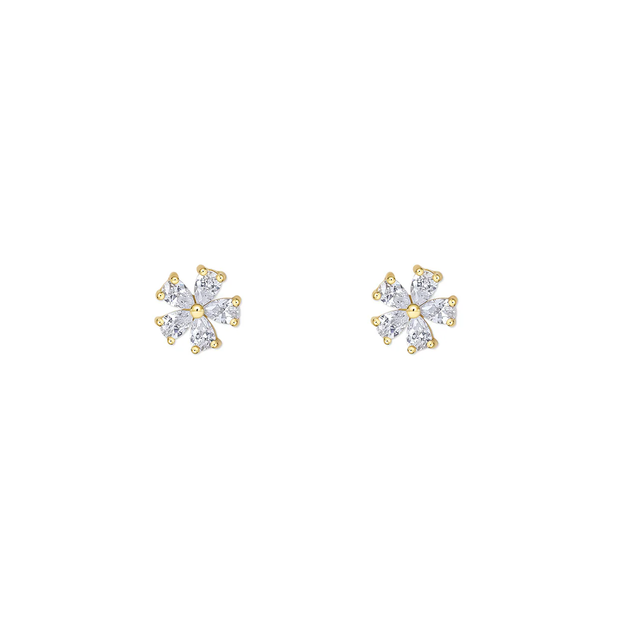 FLORA. STUDS