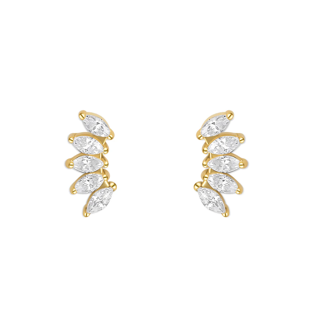FOLIA. STUDS