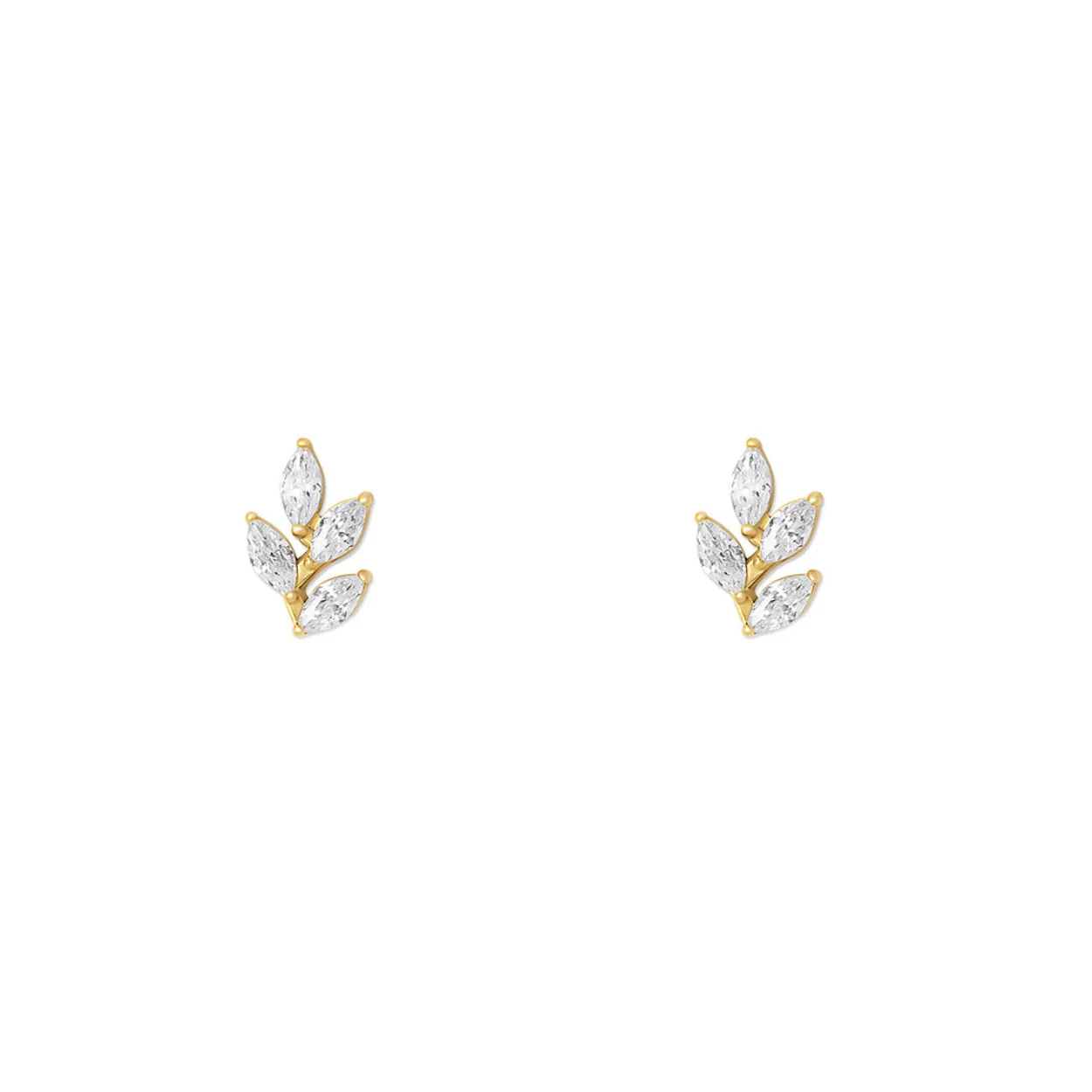NAMI. STUDS