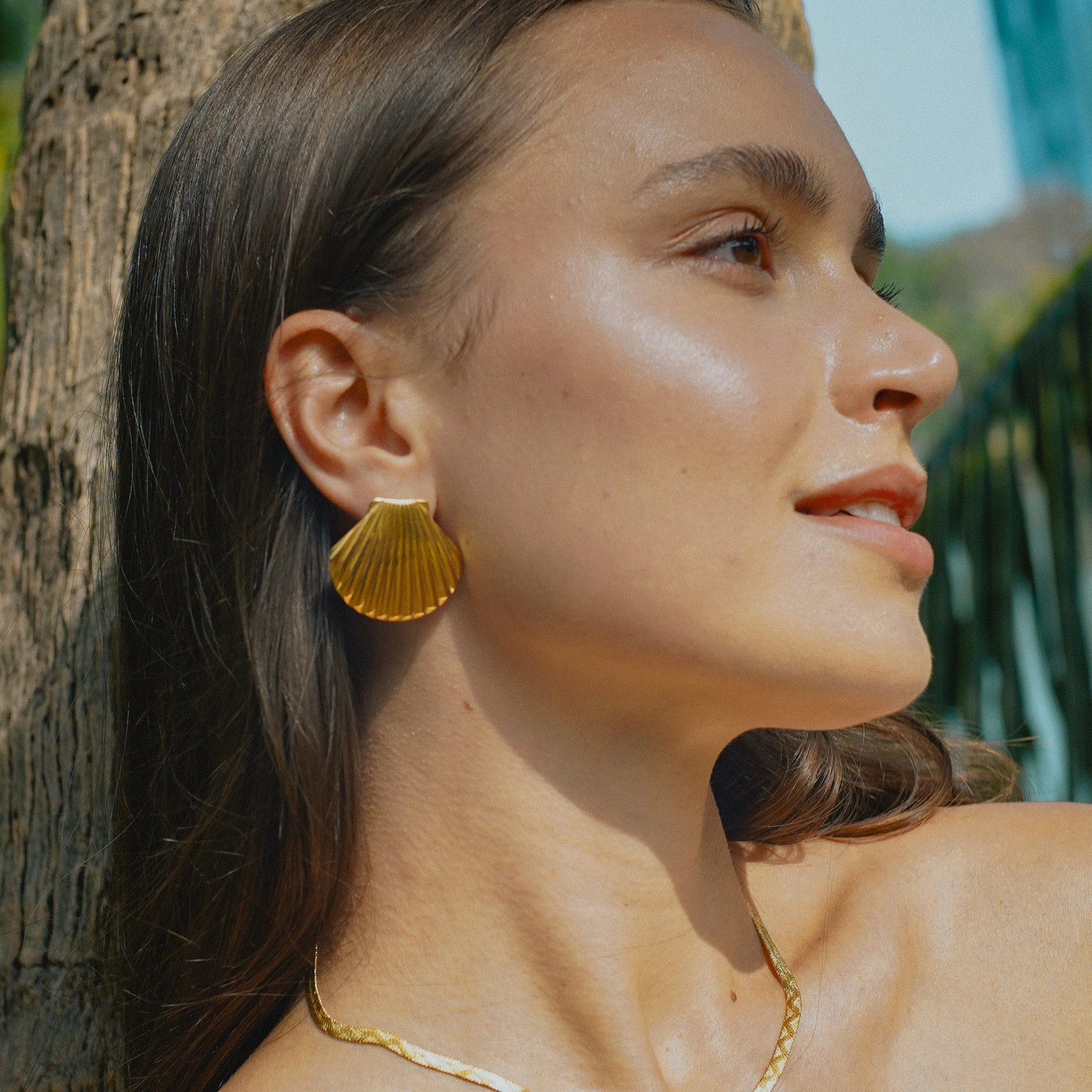 SHELL. - Image 3